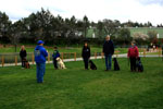 Auburn, Ca. Dog Training