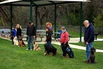 Auburn, Ca. Dog Training