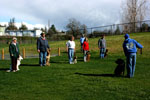 Auburn, Ca. Dog Training