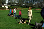 Auburn, Ca. Dog Training