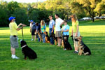 Auburn, Ca. Dog Training