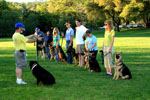 Auburn, Ca. Dog Training