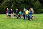 Auburn, Ca. Dog Training